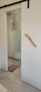 a bathroom with a shower and a glass wall at Côté plage in Lacanau