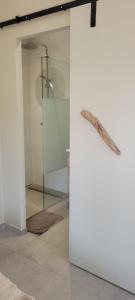 a bathroom with a shower and a glass wall at Côté plage in Lacanau-Océan +12 photos