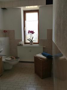 a bathroom with a toilet and a window at Zur alten Schnitzerei in Grünhainichen