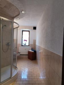 a bathroom with a shower and a toilet at Zur alten Schnitzerei in Grünhainichen