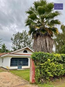 ナイロビにあるUtulivu Houseの家の前のヤシの木