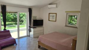 a bedroom with a bed and a tv and a window at Apartmani Natasa in Vantačići