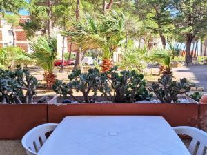 a white table and chairs in a garden with cactuses at Banyuls-sur-Mer, T3, Rez-de-chaussée avec terrasse, parking, proche Thalassothérapie - FR-1-309-295 in Banyuls-sur-Mer