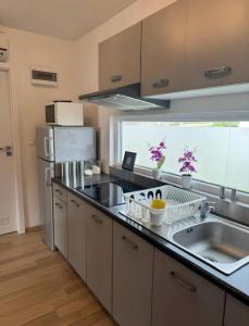 Η κουζίνα ή μικρή κουζίνα στο Olive House Pirovac