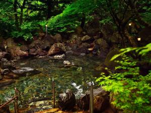 ein Wasserlauf mit Felsen und Bäumen in der Unterkunft Mercure Urabandai Resort & Spa in Kitashiobara