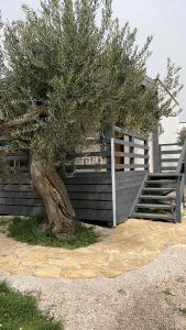 Φωτογραφία από το άλμπουμ του Olive House Pirovac σε Pirovac