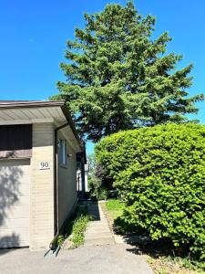 uma casa com garagem e uma grande árvore em BRAND NEW lower home with EXCLUSIVE Bathroom em Toronto