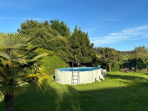 Casa Finca Patelo في Bergondo: حمام سباحة في العشب مع سلم بجواره