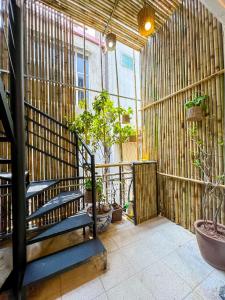 Balkón nebo terasa v ubytování Bamboo Home + 24 fotografií