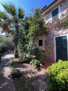 a house with a palm tree next to a building at Maggiolino al mare in Cavo