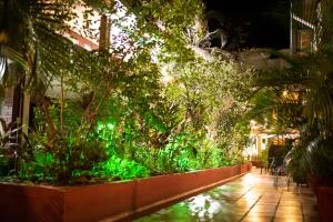 un jardin avec des plantes et une passerelle la nuit dans l'établissement Hotel Camoruco, à Yopal