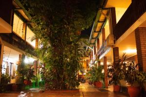 約帕爾的住宿－Hotel Camoruco，庭院里植物繁多的建筑物