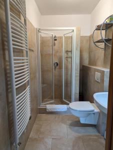 a bathroom with a shower and a toilet and a sink at Apartamenty SnowHouse in Duszniki Zdrój