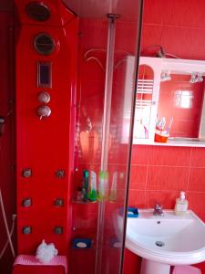 a red bathroom with a shower and a sink at Vila Anđelija in Velika Kladuša