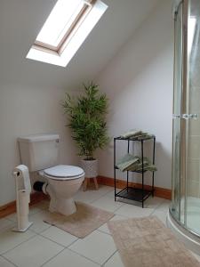 ダンドークにあるCharlestown bungalowのバスルーム(トイレ、植物付)