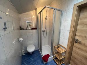 a bathroom with a shower and a toilet at Ferienwohnung Lindenhof in Achslach