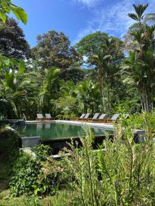 een zwembad met stoelen en palmbomen bij Passion Fruit Lodge in Cahuita