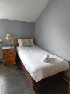 Cama ou camas em um quarto em Dingle Town Center Apartment