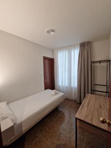 a bedroom with a large bed and a window at Hostal Rugaca in Huesca