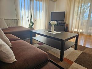 TV a/nebo společenská místnost v ubytování Apartman JASNA