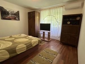 a bedroom with a bed and a television and a window at Apartman Maša in Belo Blato