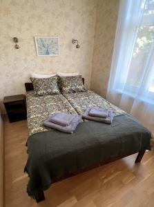 Postel nebo postele na pokoji v ubytování Posti Guest Apartment