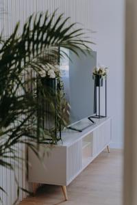a dressing table with a mirror and a plant on it at SowaSMART Apartament z sauną in Wolibórz