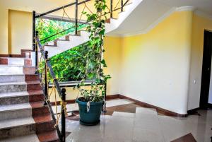 Fotografie z fotogalerie ubytování Hotel Amigo II v destinaci Kobuleti