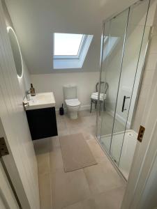 bagno con doccia, lavandino e servizi igienici di Two Bedroom Deluxe Sea View Guest Suite a Inis Mor