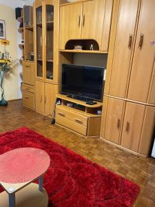 Galeriebild der Unterkunft Apartament DANI in Orşova