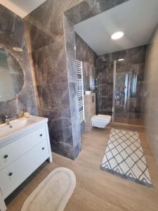 een badkamer met douche, wastafel en toilet bij Anca House in Baia Mare +6 foto's