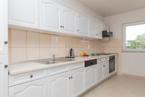 Kuchyň nebo kuchyňský kout v ubytování Apartman Maria
