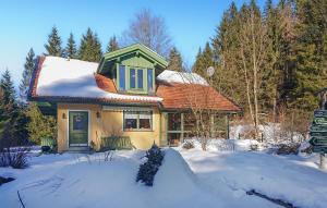 ein Haus mit grüner Tür im Schnee in der Unterkunft Ferienhaus Bahnhaus K in Regenhütte