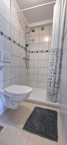 y baño con aseo, ducha y alfombra. en Apartments & Rooms Nada, en Brseč