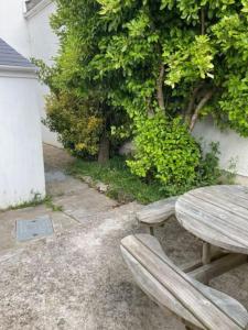 a wooden table and bench next to a tree at Superbly located Tenby cottage in Tenby
