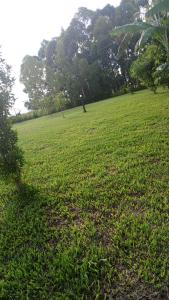 un gran campo de césped verde con árboles en el fondo en Pross Residence en Masindi