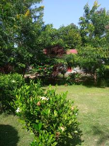 una casa in un giardino con un cespuglio fiorito di Pross Residence a Masindi