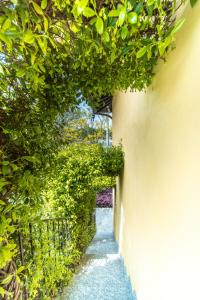 Zahrada ubytování B&B Osteria dello sperone