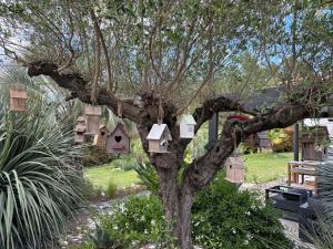 Φωτογραφία από το άλμπουμ του Joli havre de paix σε Prades-le-Lez +34 φωτογραφίες