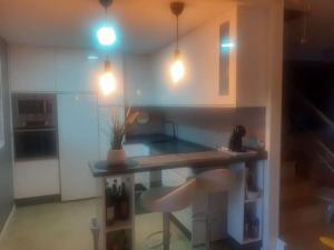 a kitchen with a counter with a plant on it at Casa Adosada in Bormujos