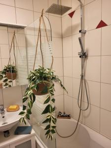 a bathroom with a plant hanging from a shower at ALA Living Stadt-Schwärmer Apartment 10min zum Ulmer Münster & Ulmer Altstadt, WLAN & Arbeitsplatz in Neu Ulm