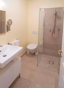 La salle de bains est pourvue d'une douche, de toilettes et d'un lavabo. dans l'établissement Haus Tinkhauser, à Vilpiano