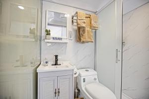 a bathroom with a toilet and a sink and a shower at Dream Dome Getaway near Leesburg in Leesburg