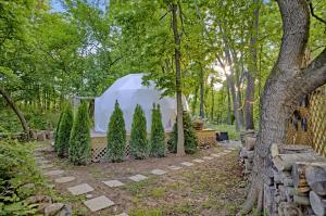 a tent in a forest with trees in front of it at Dream Dome Getaway near Leesburg in Leesburg