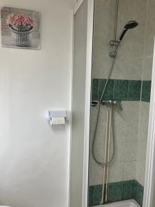 bagno con doccia e piastrelle verdi e bianche di Charmante maison en pierres a Précy-le-Sec