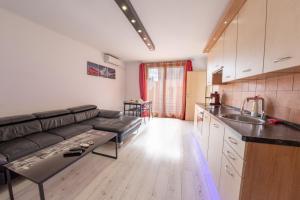 Kuchyňa alebo kuchynka v ubytovaní Apartment City Inn Pécs