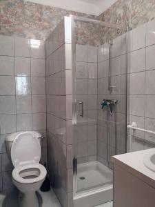 a bathroom with a toilet and a shower and a sink at Gîte du moulin Baillot in Chessy-les-Prés +18 photos
