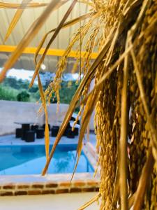 Swimming pool sa o malapit sa Forestar Villa and Restaurant