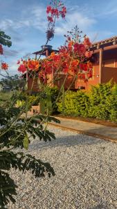 ピレノポリスにあるChalés Aconchegoの庭の赤い花束