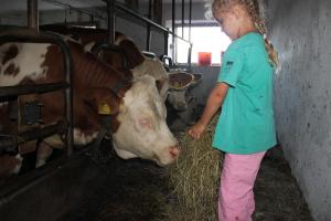 Zwierzęta w gospodarstwie agroturystycznym lub w pobliżu